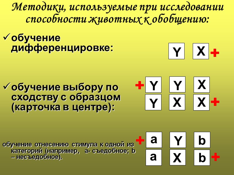 обучение дифференцировке:   обучение выбору по сходству с образцом (карточка в центре): 